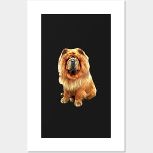 Chow Chow Looking So Cute! Posters and Art